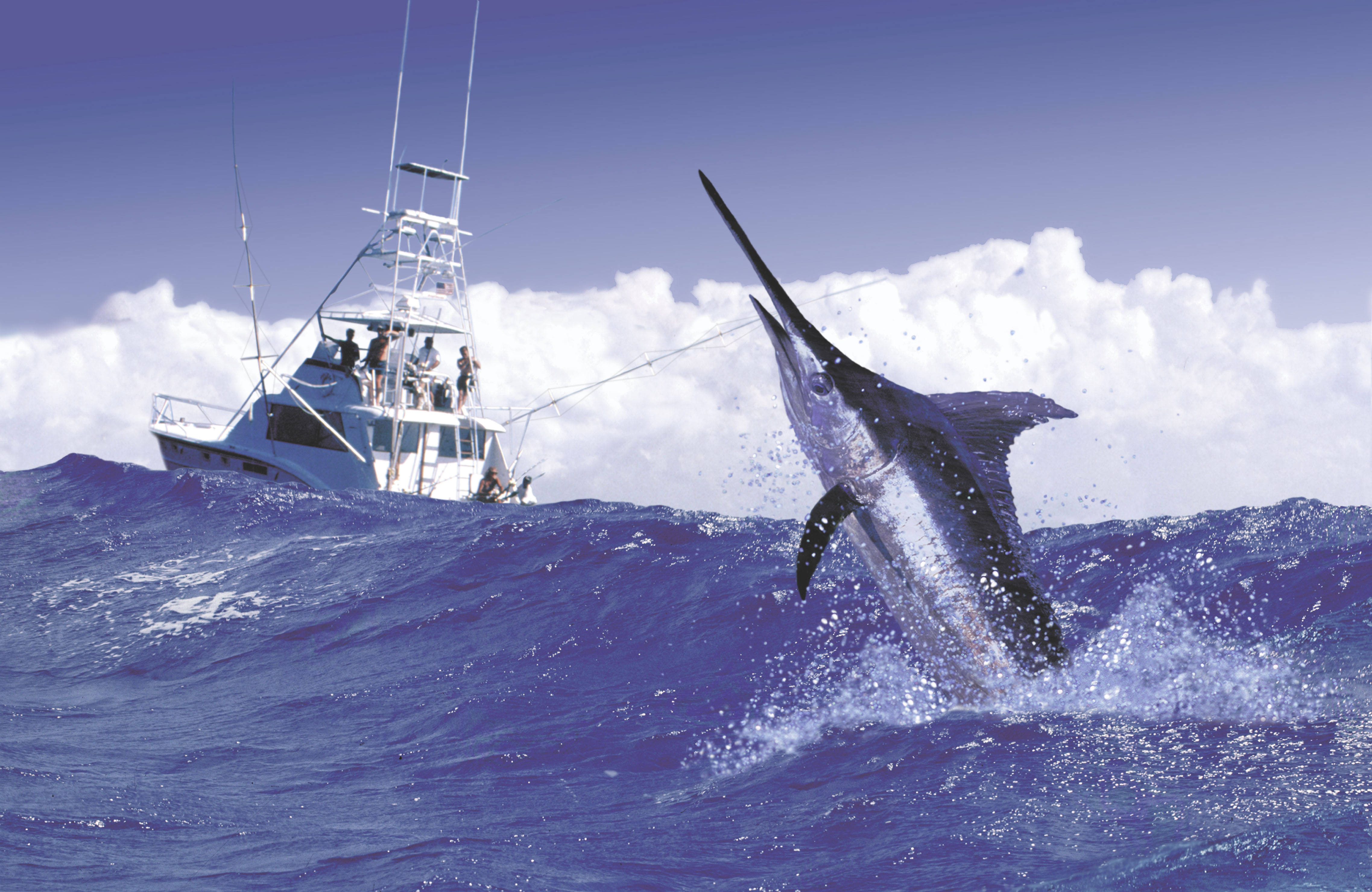 Blue marlin jumping out of the water as a group of fisherman watch from a recreational fishing boat in Costa Rica